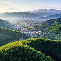 Buy Now Muvee Reviews Bootstrap HTML5 Template